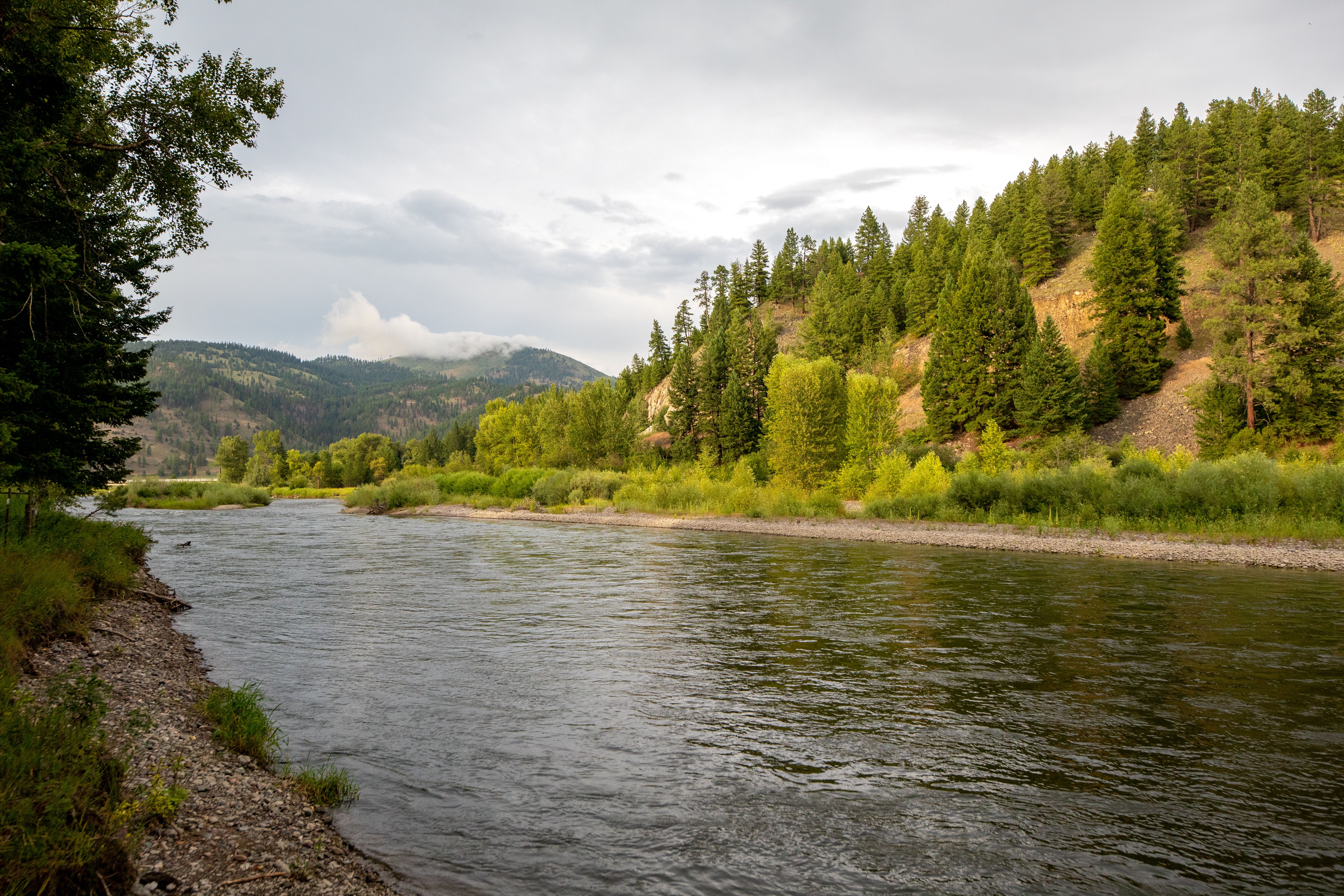 [Image Description: The Clark Fork river, surrounded by bright green shrubs, bushes, and trees. Clouds cover the sky and hide the tops of the mountains in the distance.]