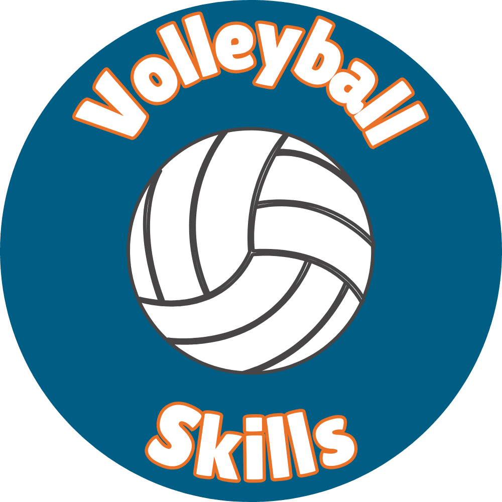 Volleyball Skills & Play