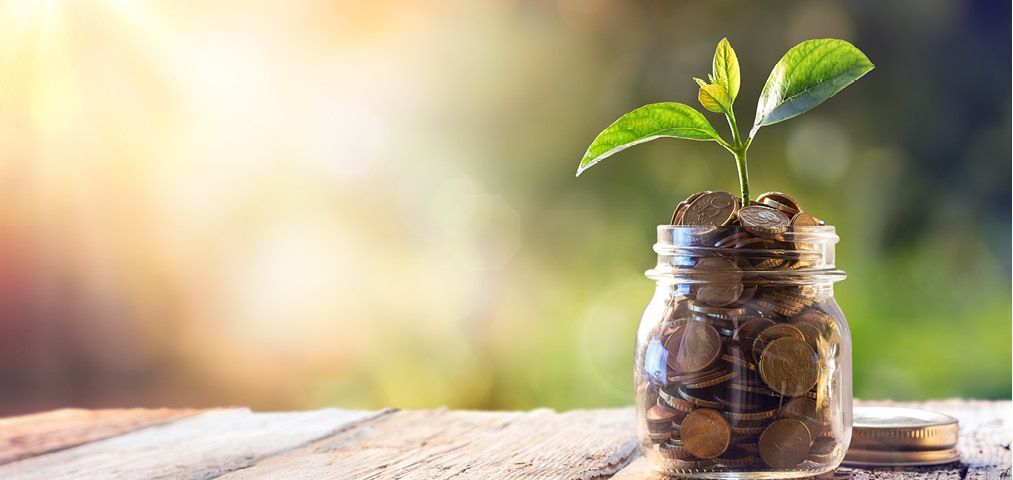 Jar of money with a plant growing