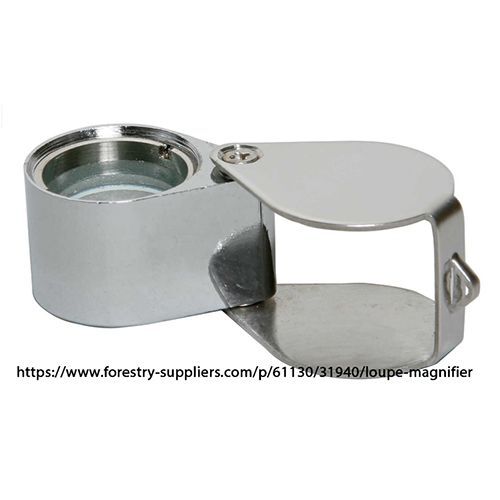 Hand lens (Loupe)