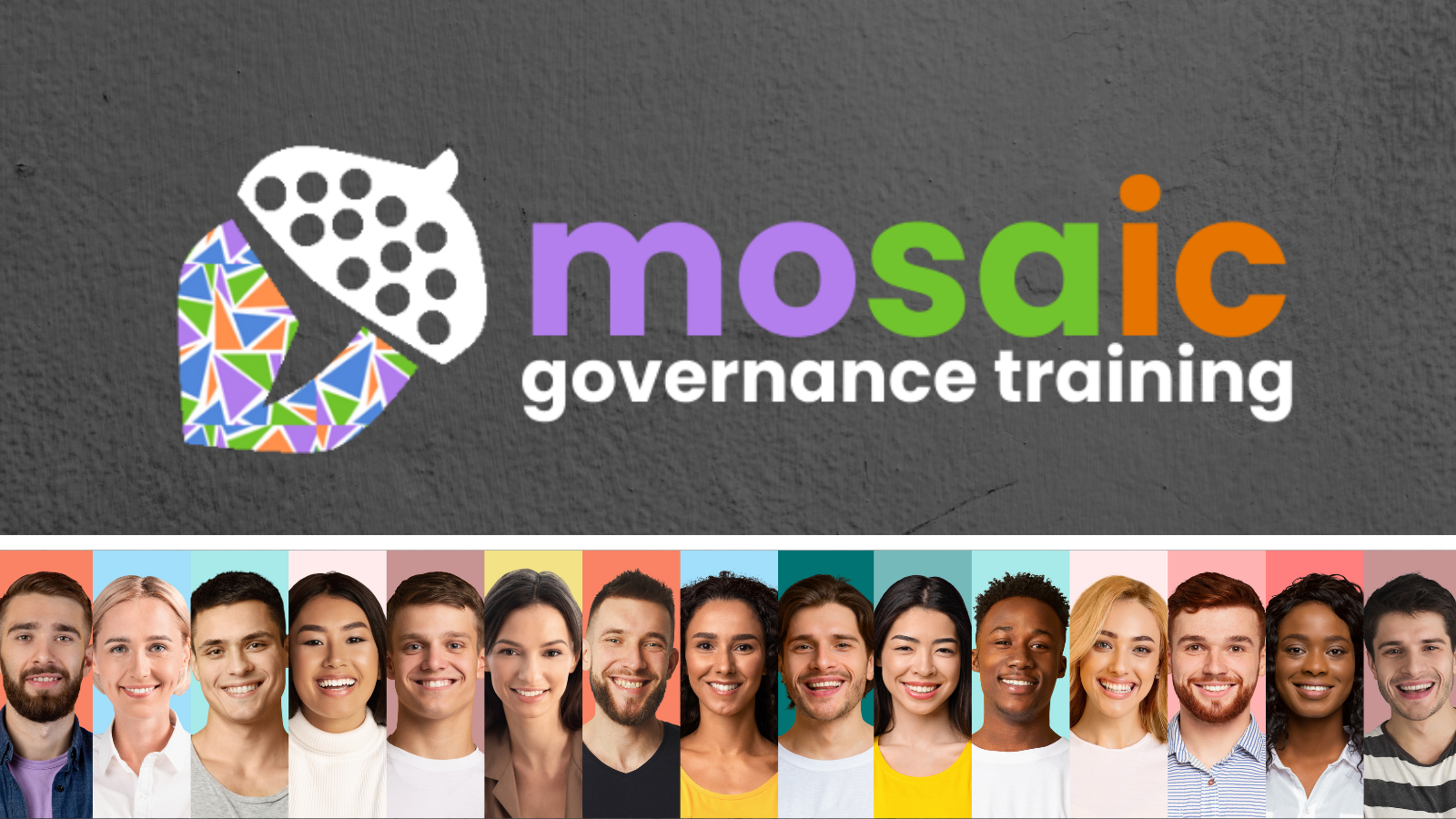 Mosaic Governance Training The Nonprofit Partnership Erie Pa