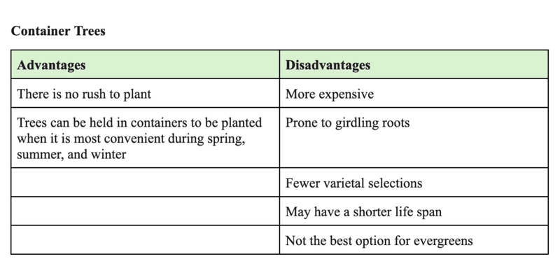 Table showing the advantages and disadvantages of container trees
