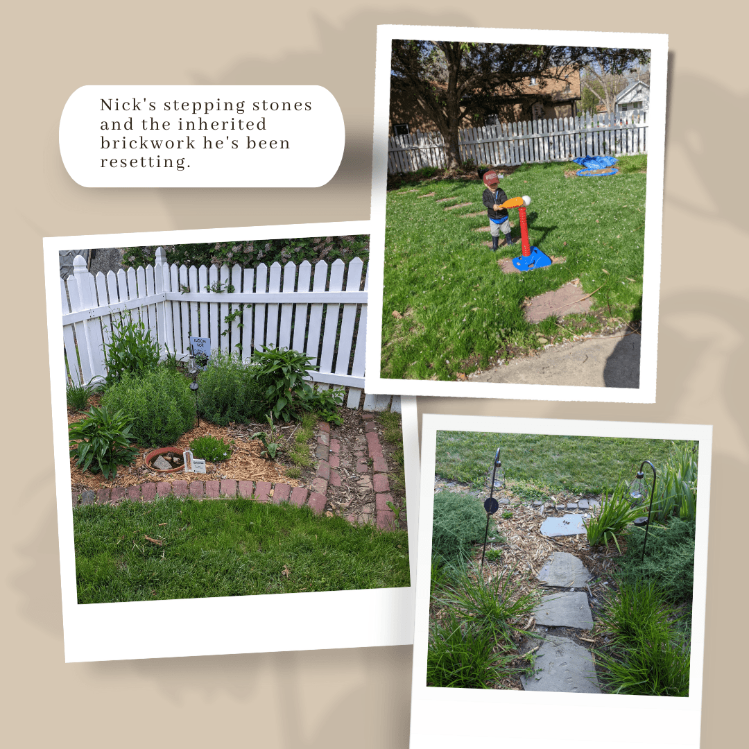 Paving stone path through sedges and through lawn turf. Old brickwork bordering landscape beds and creating drain channel.