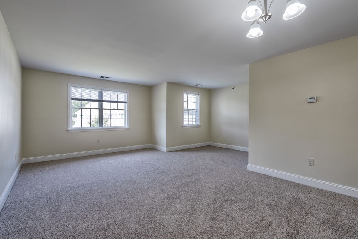 CatamountA living room den