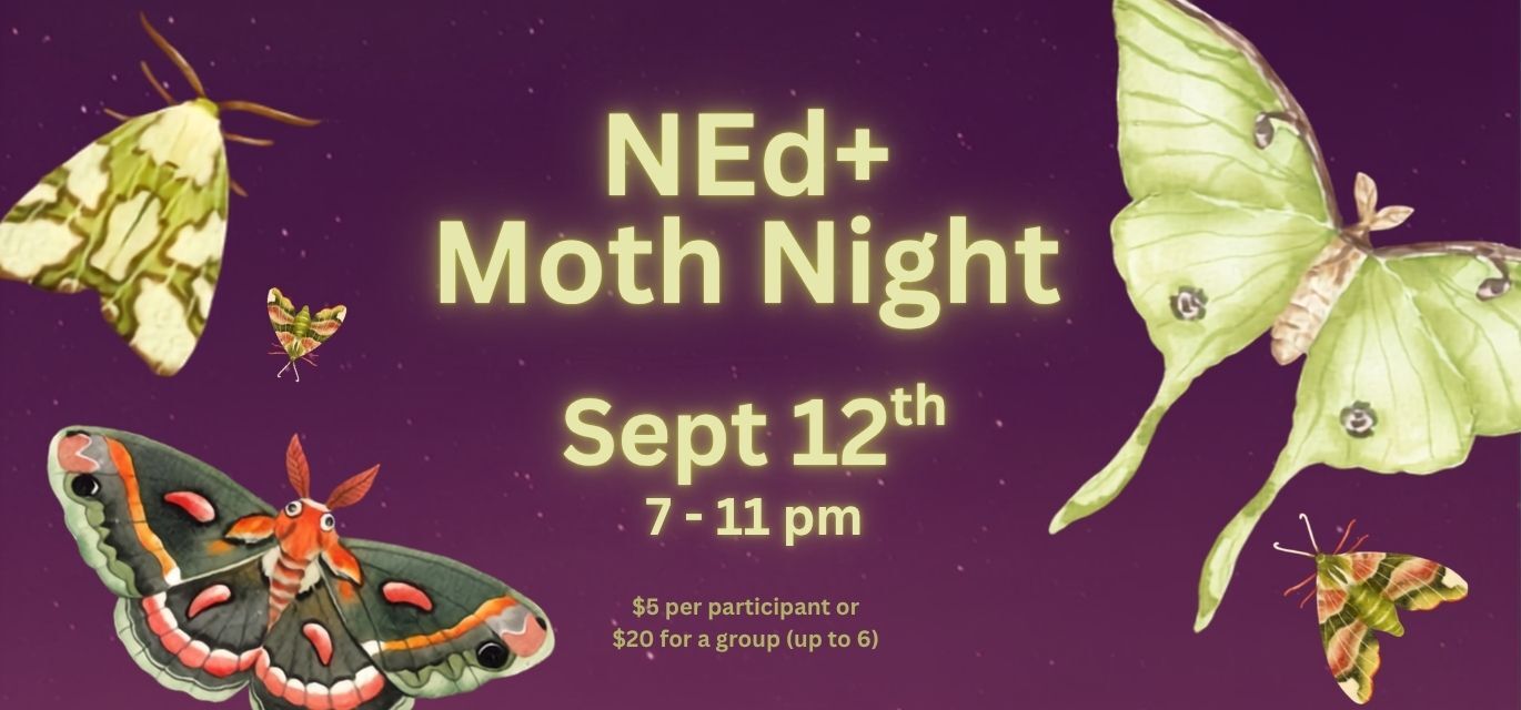 NEd+ Moth Night