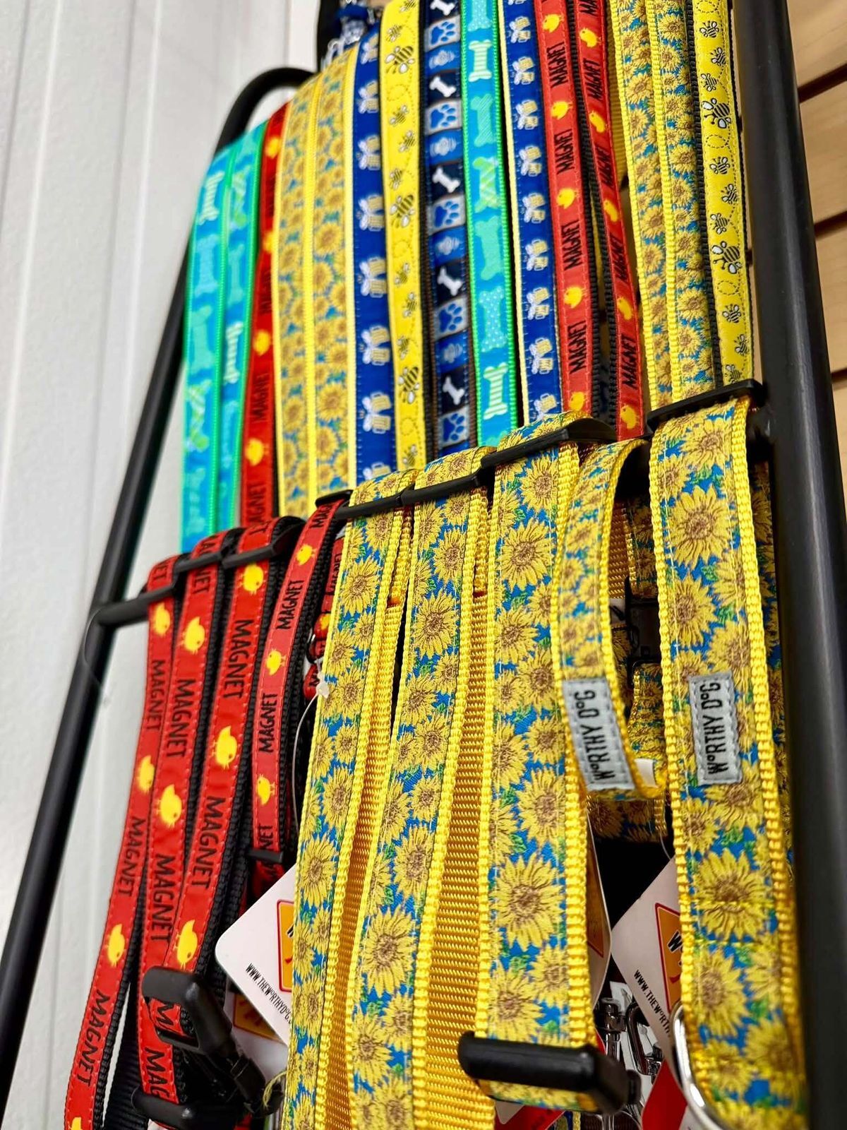 Seasonal Leashes and Collars | Multi-color | Humorous 