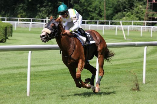 Belmont Stakes