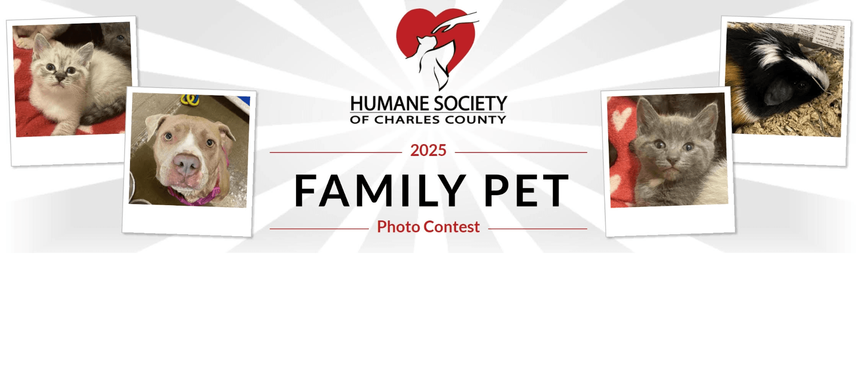 Enter Our Family Pet Photo Contest