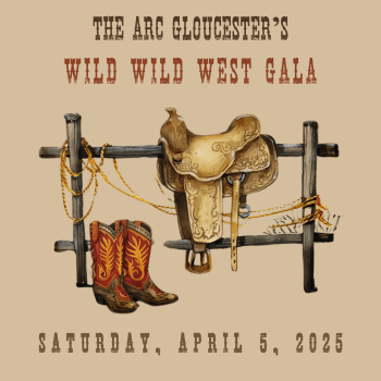 Wild Wild West Annual Gala