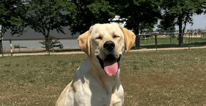 Cooper smiling