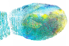 You and Your MS Fingerprint