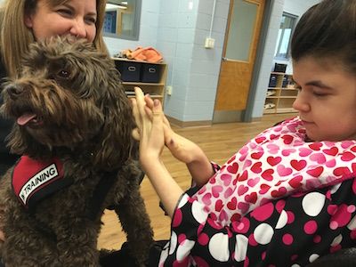 therapeutic animal visits