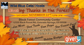 Give!ing Thanks in the Forest