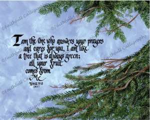 EVERGREEN (Hosea, Encouragement, Faithwalk, Grief/Loss)