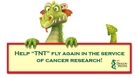 Help TNT Fly Again!