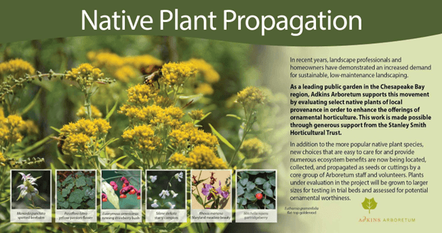 Native Plant Propagation