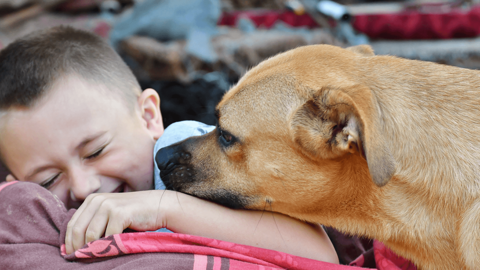 Boy with his dog
