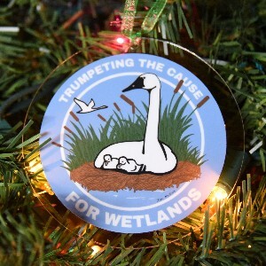 Ornament: Trumpeting the Cause for Wetlands