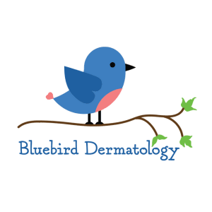 bluebird dermatology