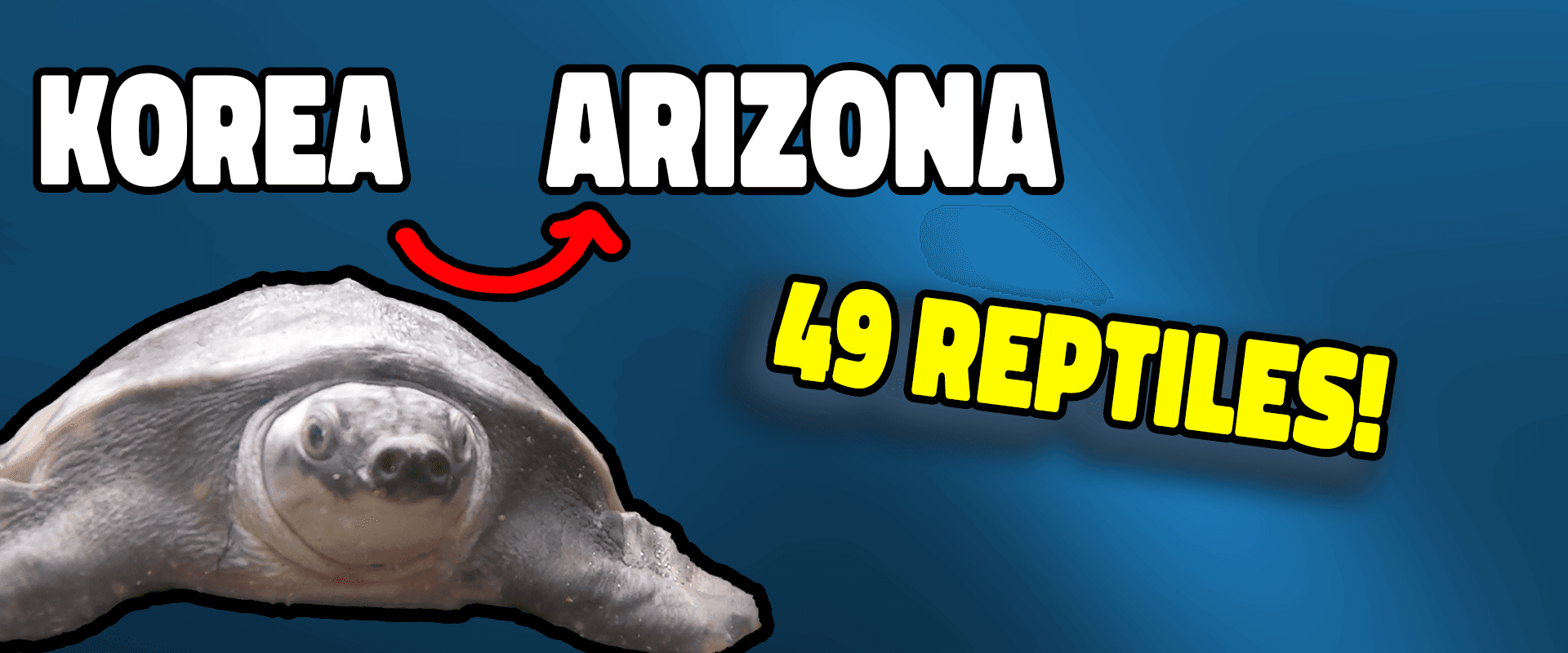 New Video on YouTube!
