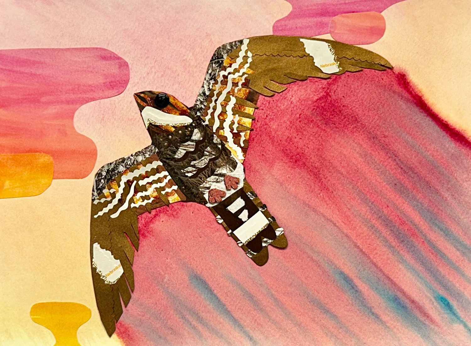 Mixed media artwork showing a Common Nighthawk flying in front of a pink and yellow sky with stylized streaks trailing its wings and tail