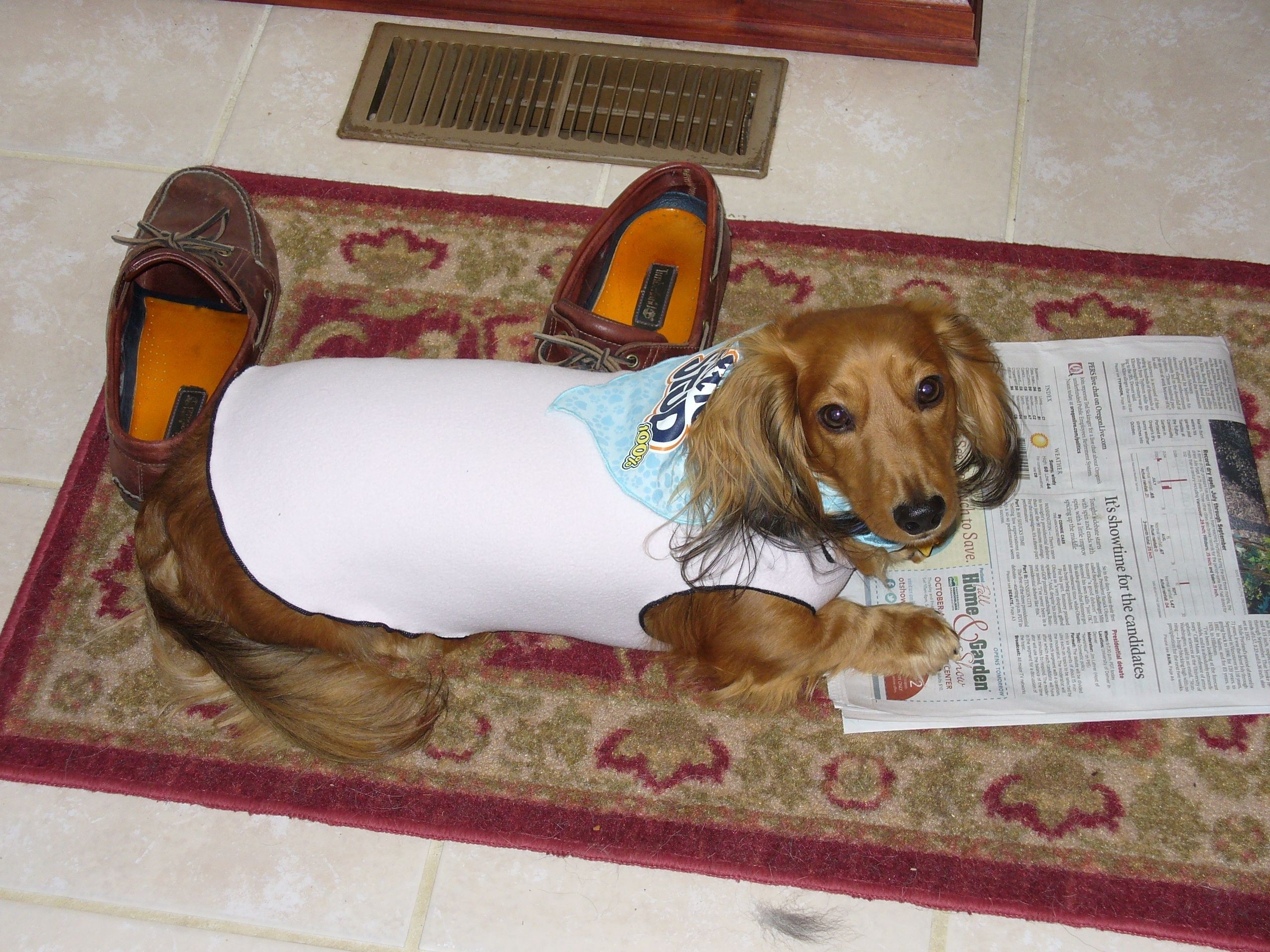 Carla Barone and Buddy