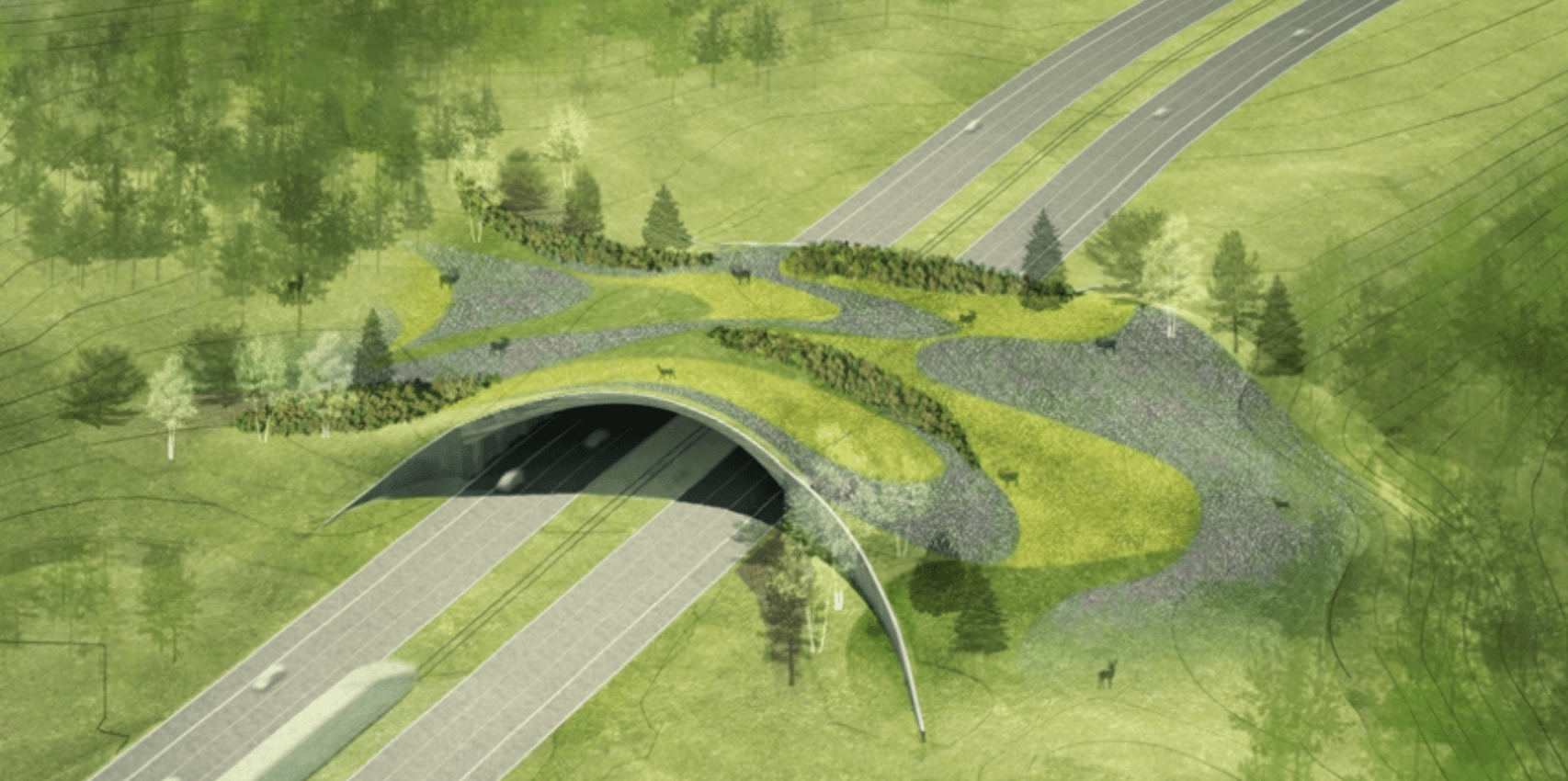 A grass covered bridge over a highway
