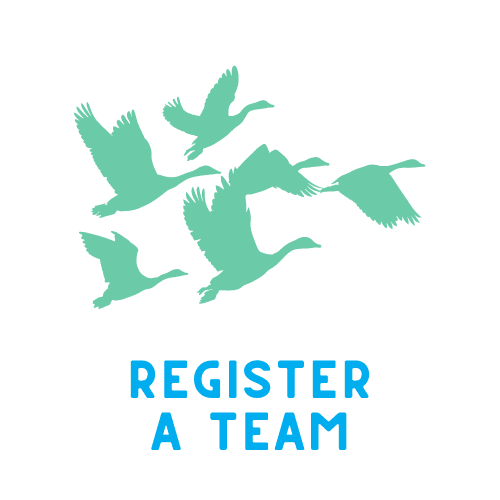 Register a Team