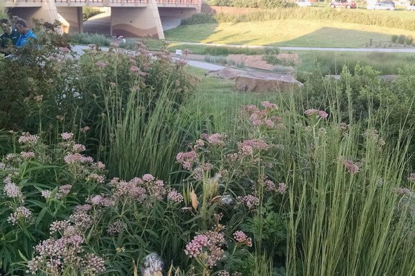 Visit a Public Garden