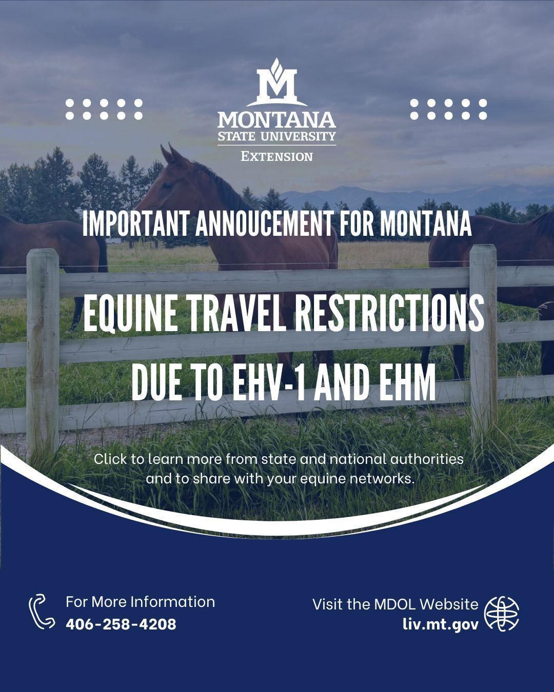 Montana Department of Livestock Equine Travel Restrictions due to EHV-1 and EHM: A statement from MSU Extension