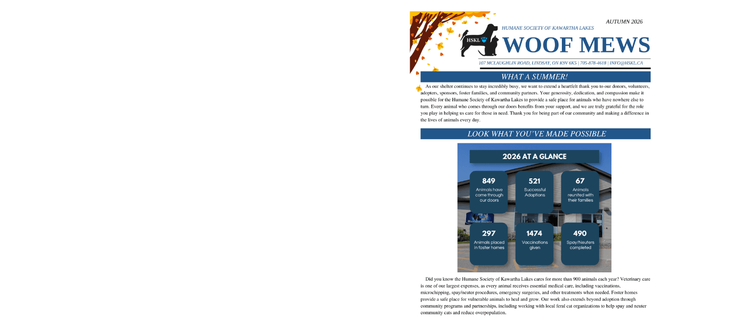 Autumn Newsletter