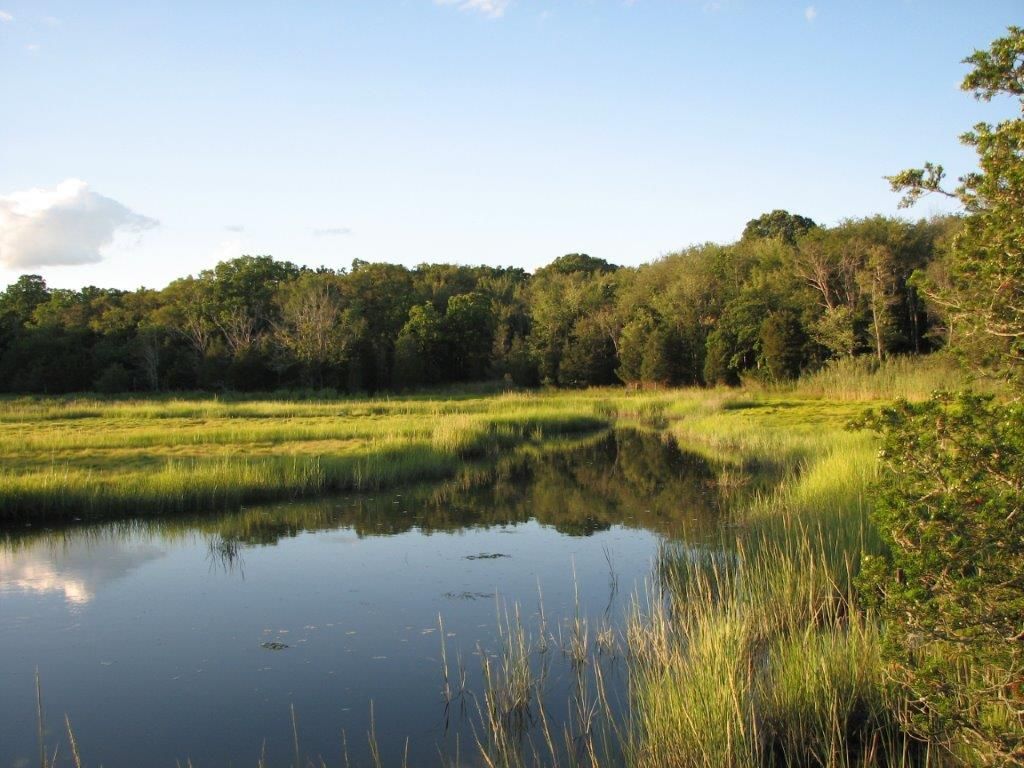 Touisset Marsh Wildlife Refuge Audubon Society of Rhode Island Warren Salt Marsh Kickemuit River Hiking Family Environment