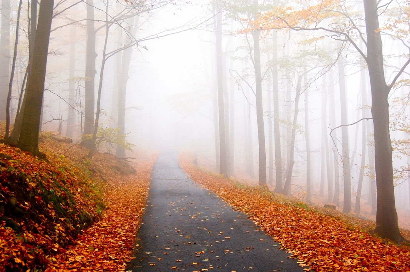 Acts of Kindness You Can Do This Fall