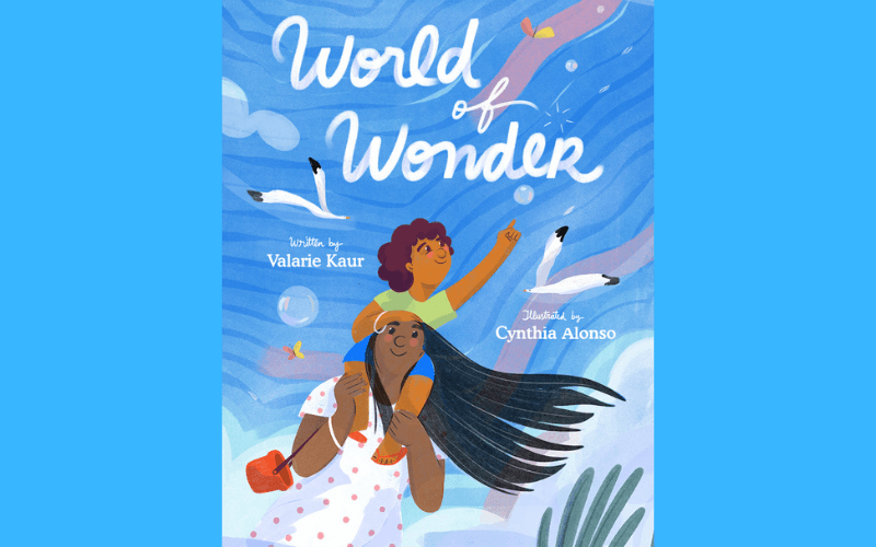 World of Wonder book cover