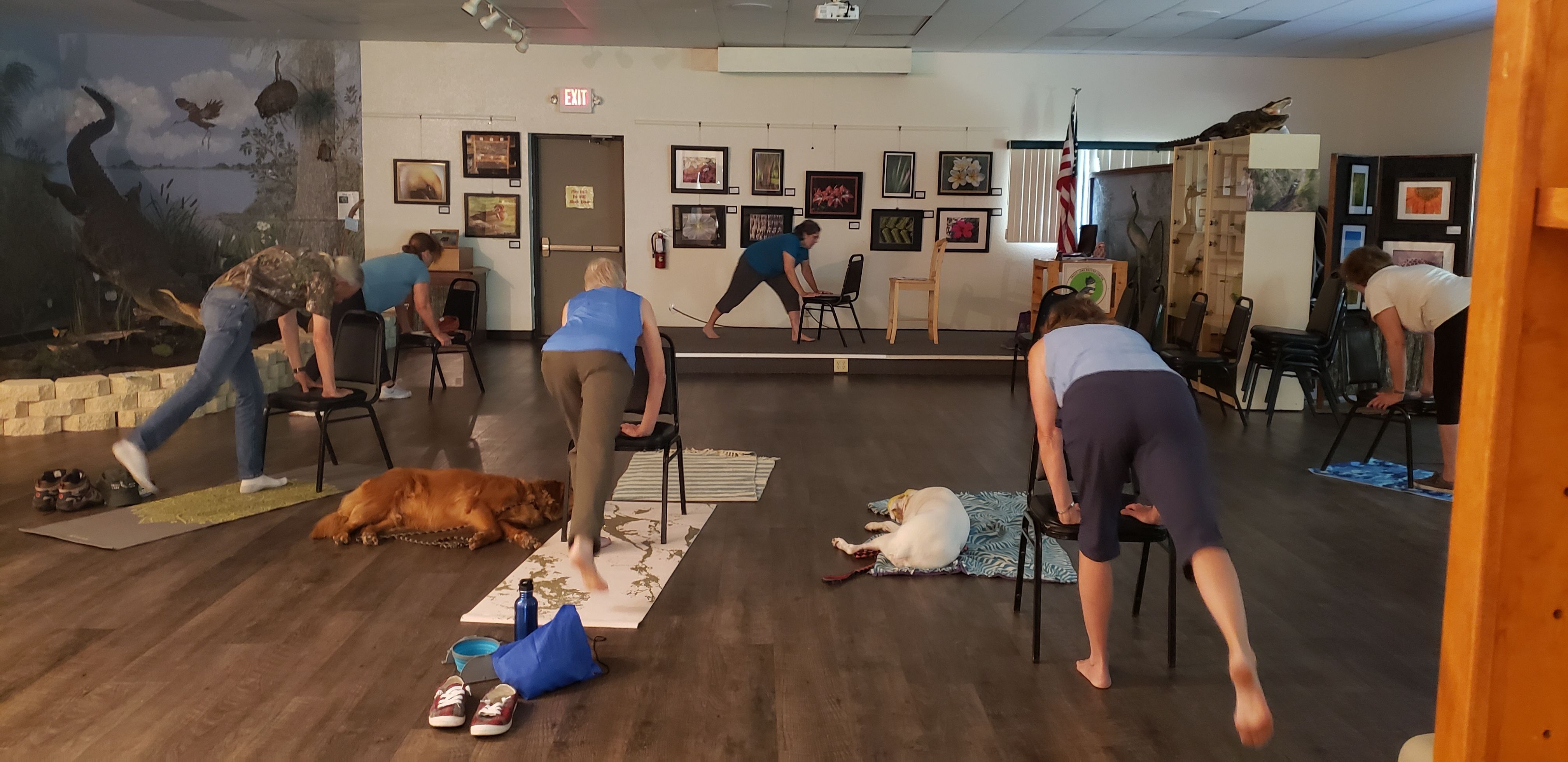 Yoga participants doing a yoga position using chairs or the floor.