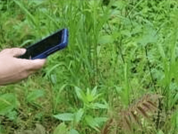 How to Use iNaturalist