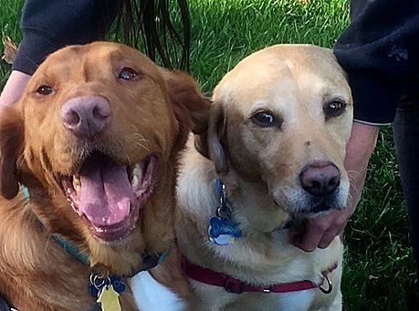 Rosco and Daisy