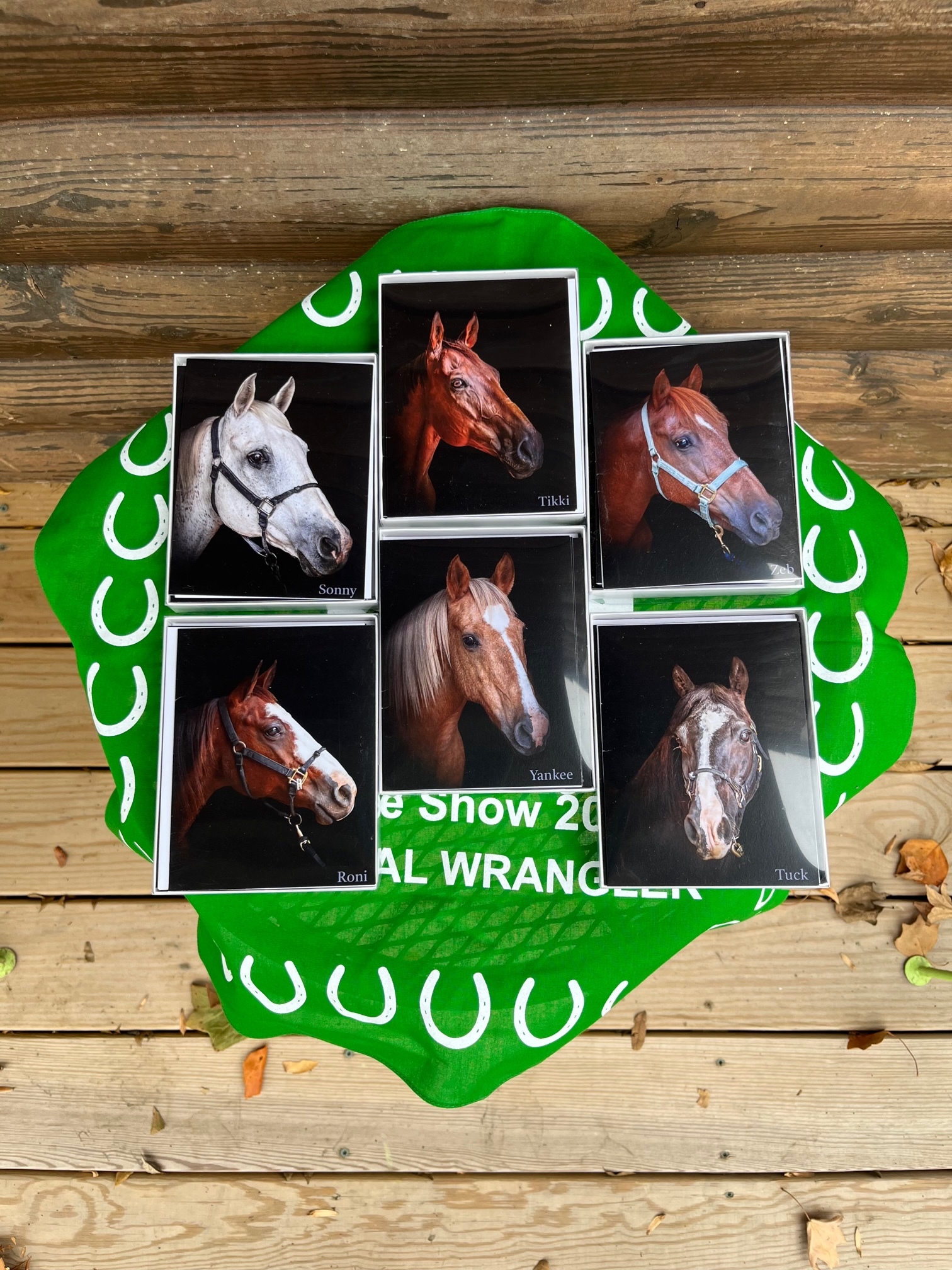 2023 Assorted Horse Photo notecards