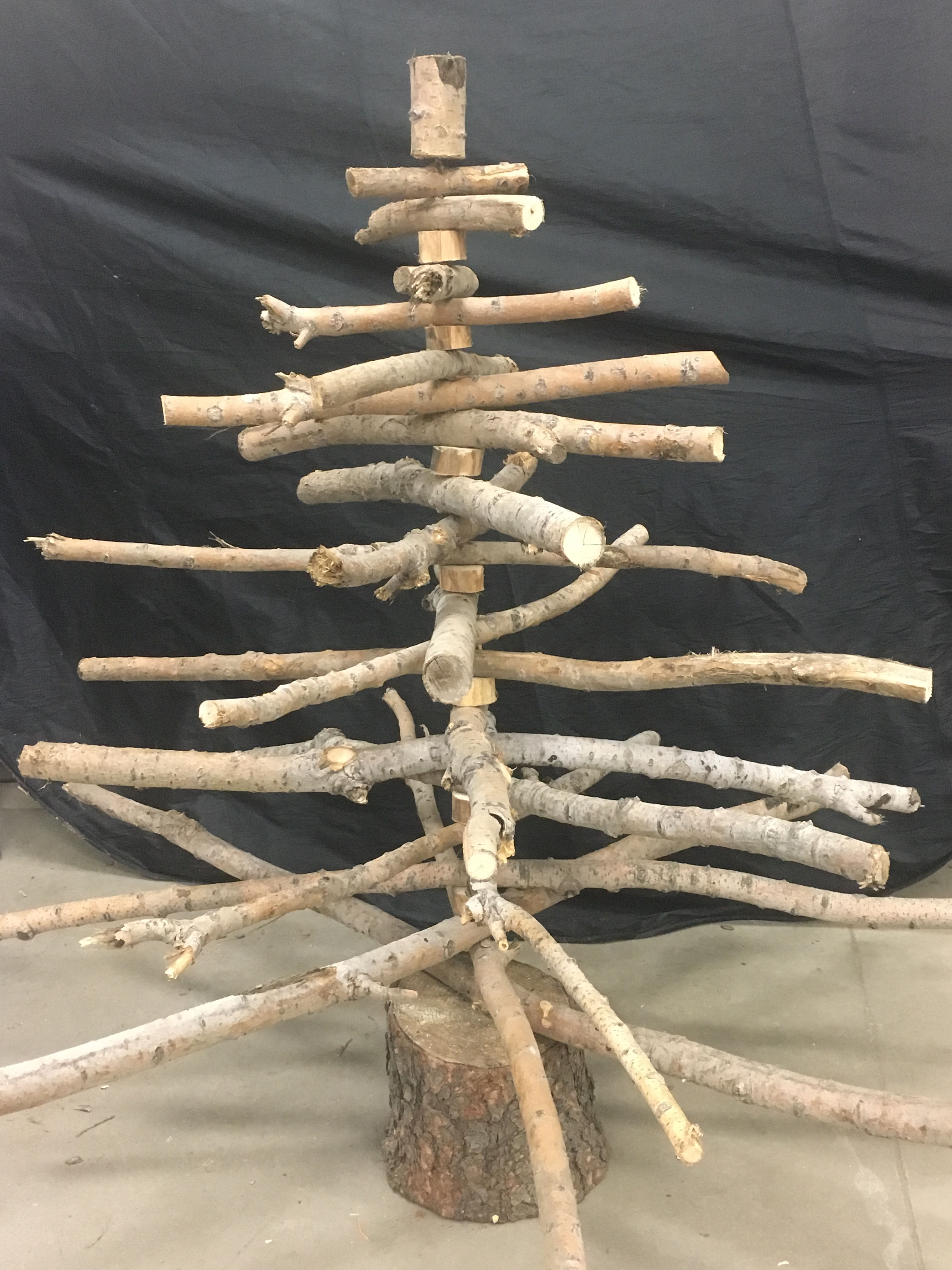 Nebraska Strong Tree to be Auctioned During Reception