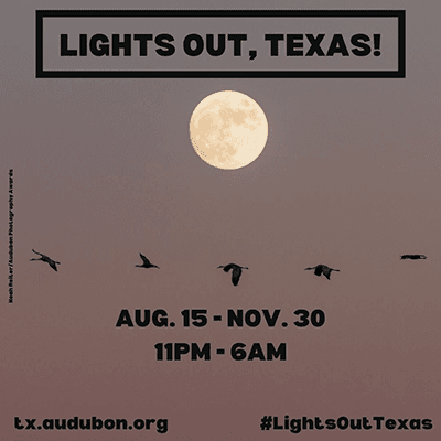 Lights Out, Texas