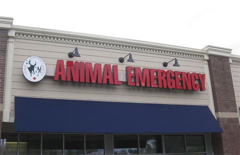 Animal Emergency Hospital