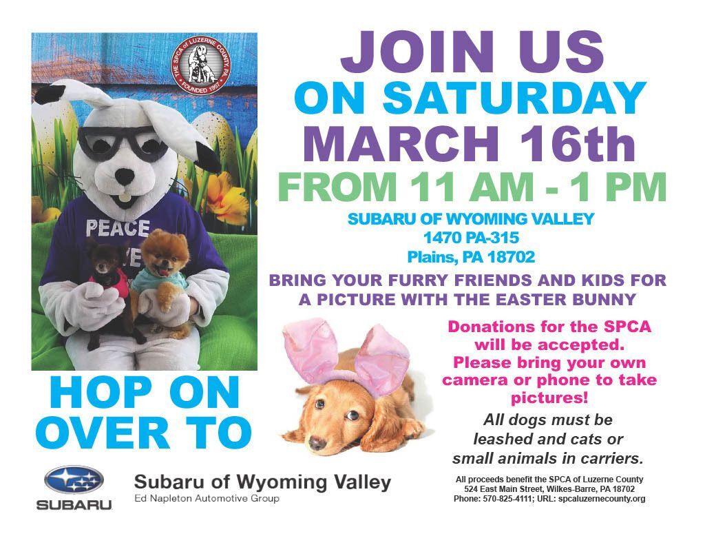 Hop on over to Subaru of Wyoming Valley on March 16th between 12:00 and 2:00 for pictures with the Easter Bunny!!!