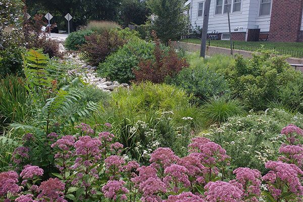 Gardening with Prairie Plants