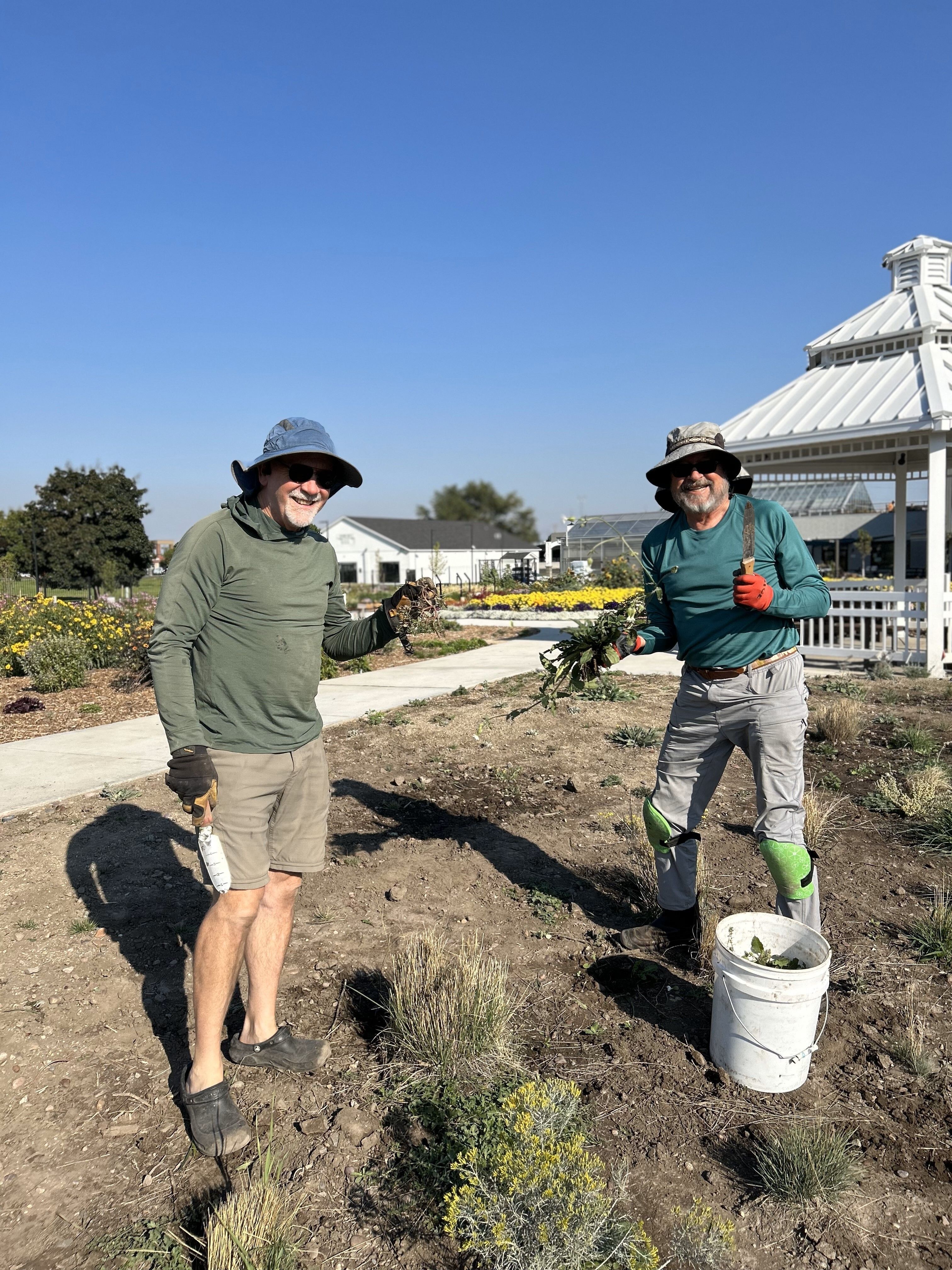 Volunteer in the Gardens