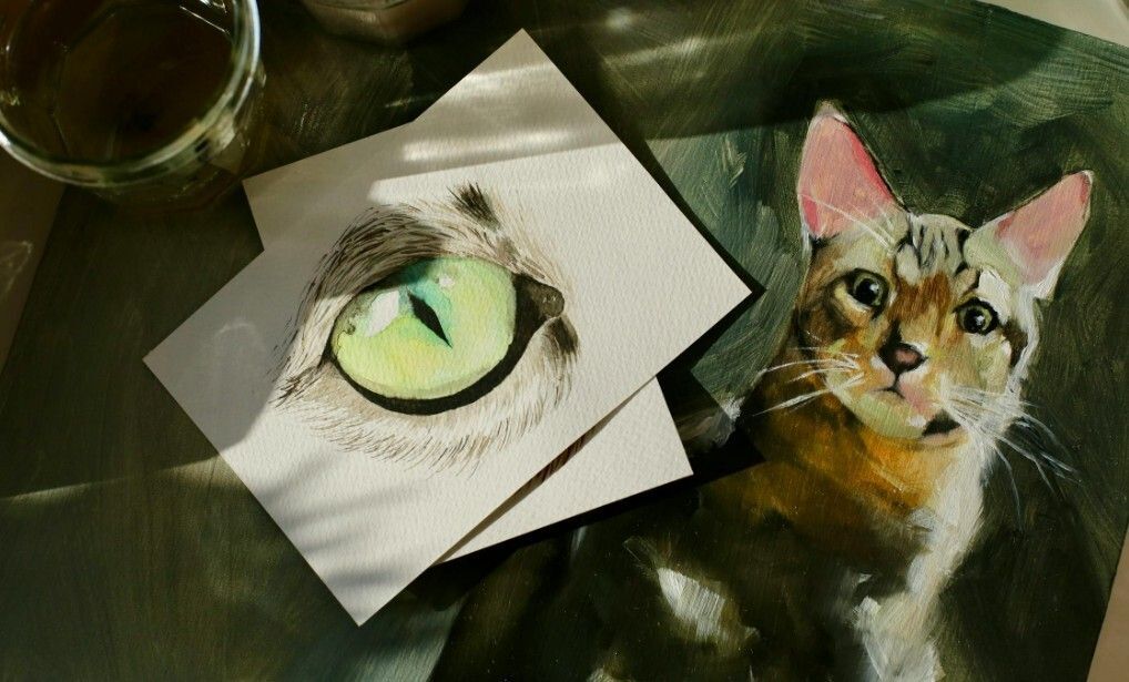 Pet Portrait Workshop