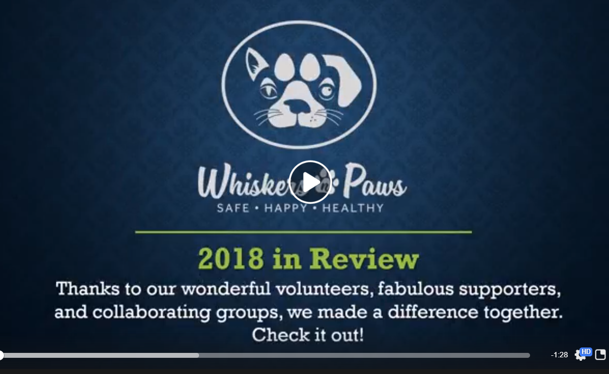 582 Cats Helped in 2018