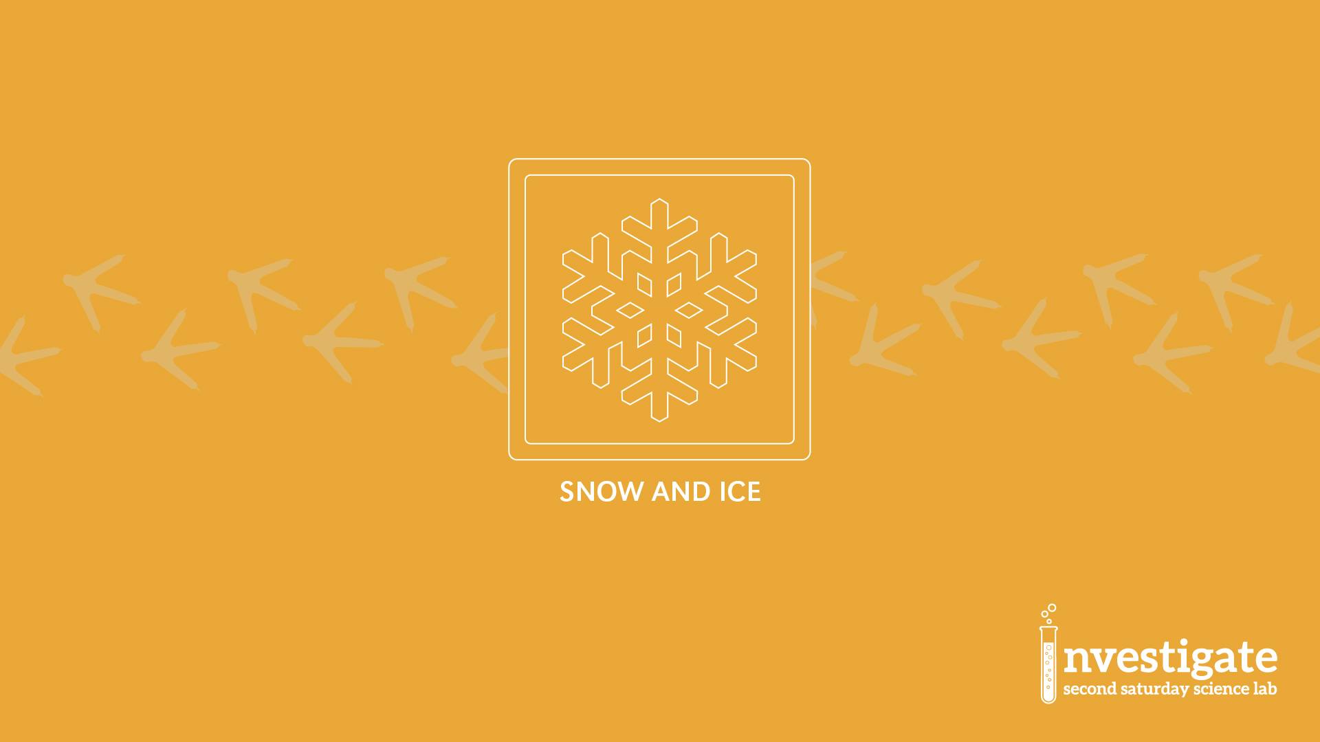 Investigate: Second Saturday Science Lab - Snow and Ice
