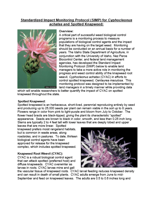 SIMP for spotted knapweed root weevil