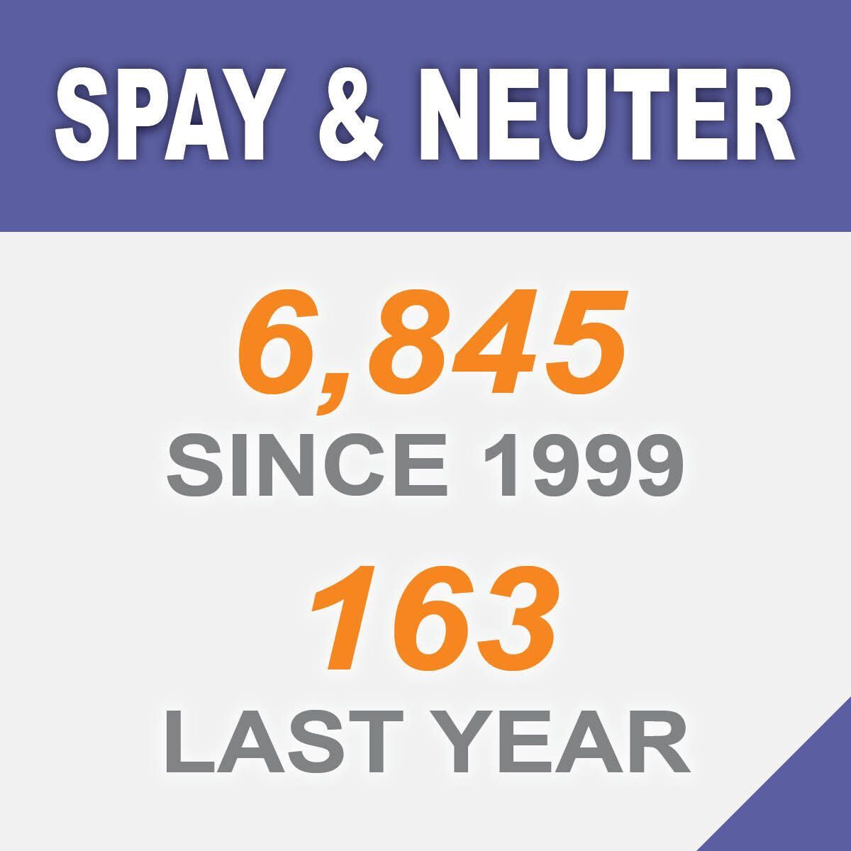 Spay & Neuter
