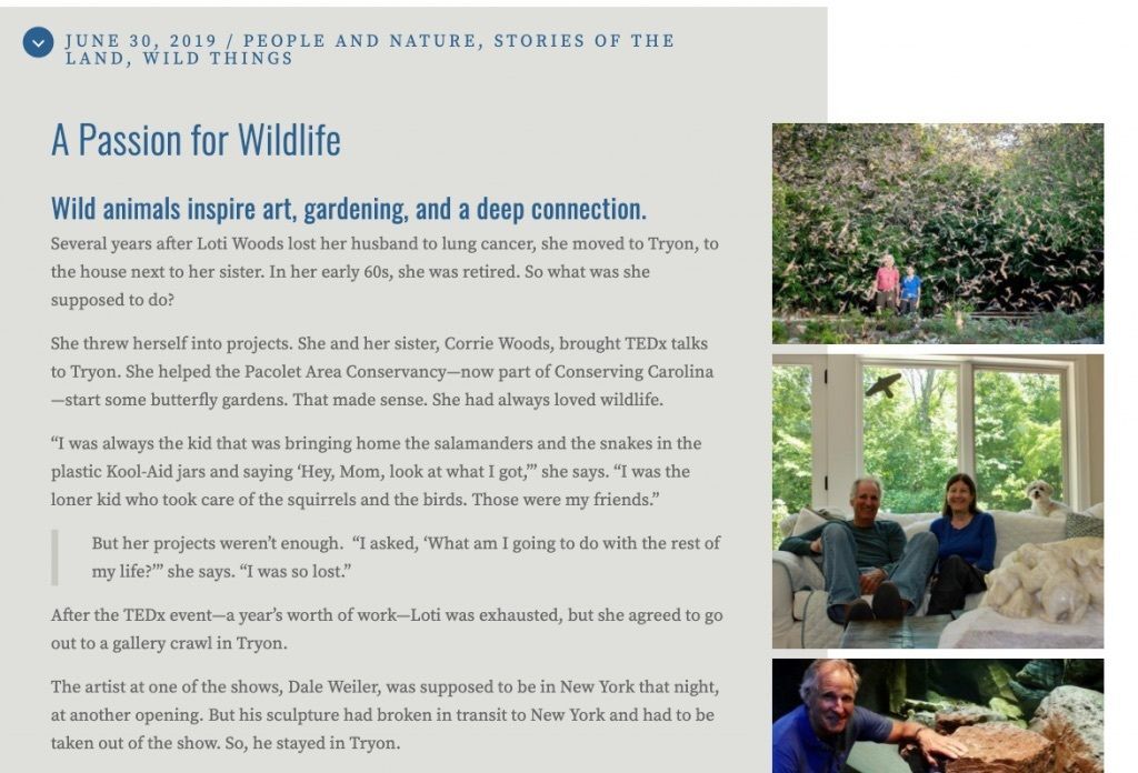 Passion for wildlife article